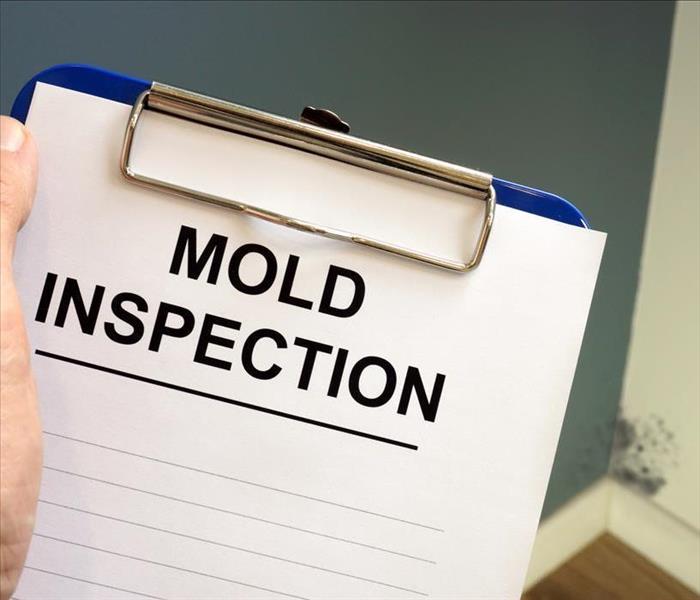 mold inspection on clipboard  form
